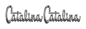 Preview: Fender Emblems for 1966 Pontiac Catalina - Script "Catalina" / Pair