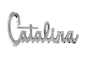 Preview: Fender Emblems for 1966 Pontiac Catalina - Script "Catalina" / Pair