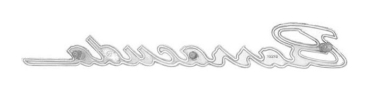 Kotflügel-Embleme für 1967 Plymouth Barracuda - Schriftzug Barracuda / Paar