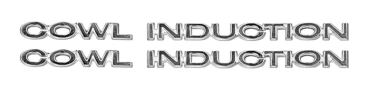 Hauben-Embleme für 1970-72 Chevrolet Chevelle - COWL INDUCTION / Paar