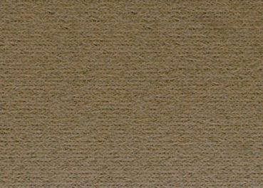 Renovation Headliner -Cloth- for 1977-81 Pontiac Firebird - Camel Tan