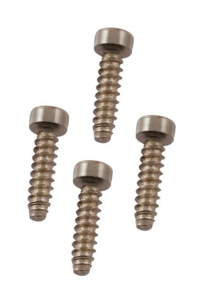 Park/Turn Light Bezel Screw Set for 1951 Ford - 4-Piece
